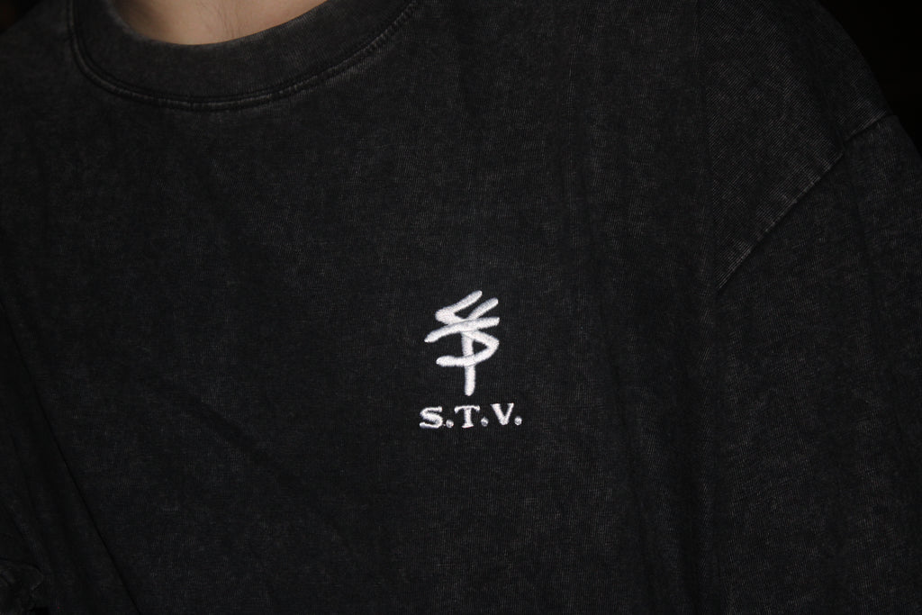 STV KINGDOM SHIRT