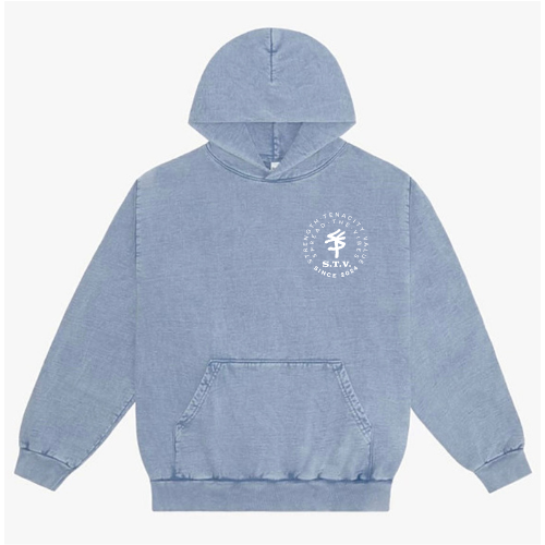 Ice Blue BLESSED BUTTERFLY Hoodie