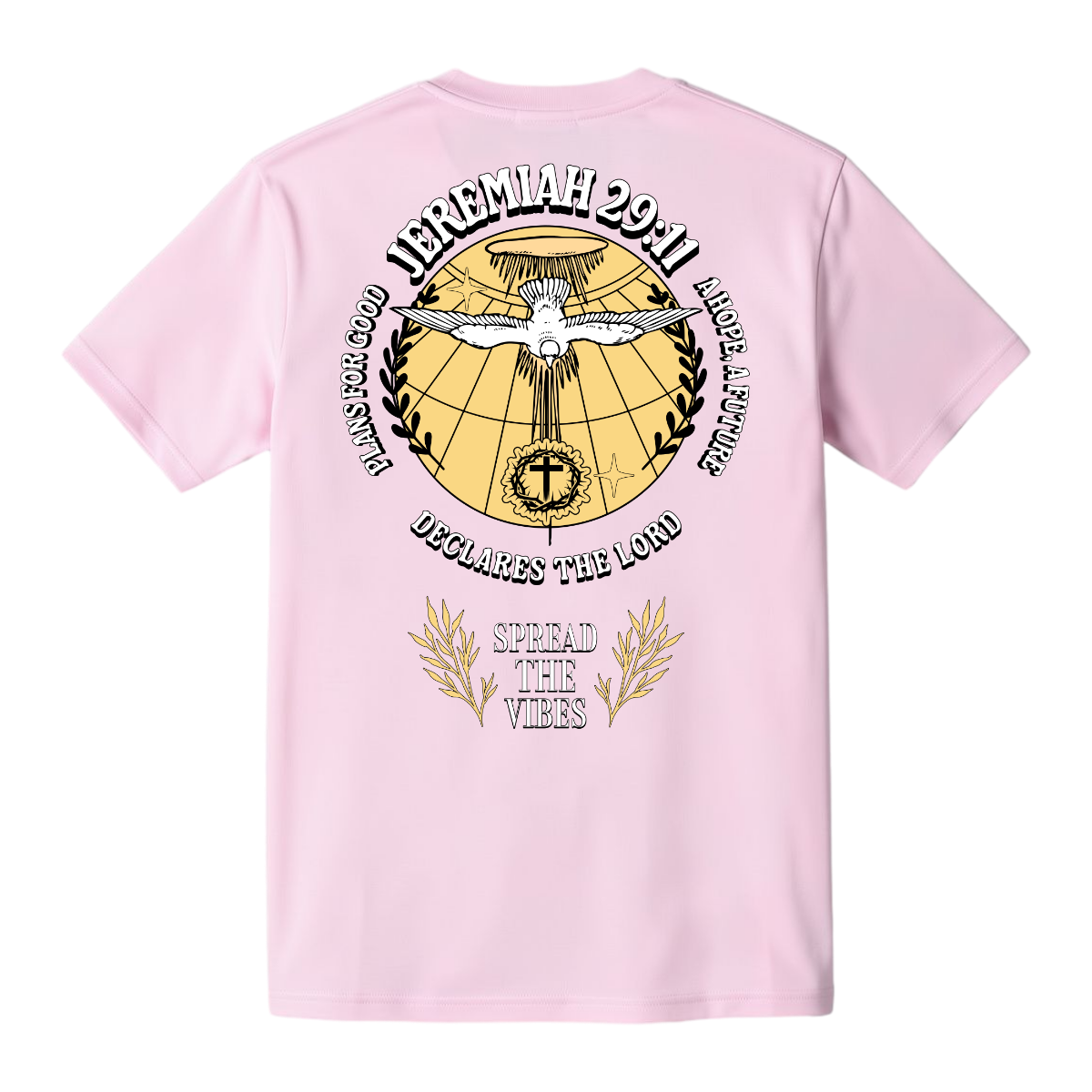 JEREMIAH 29:11 Comfort T