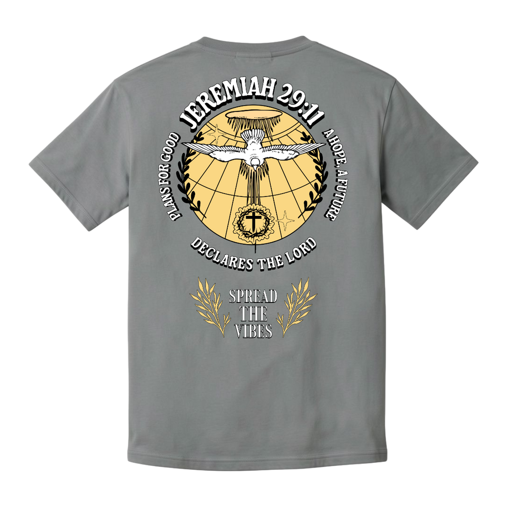 JEREMIAH 29:11 Comfort T