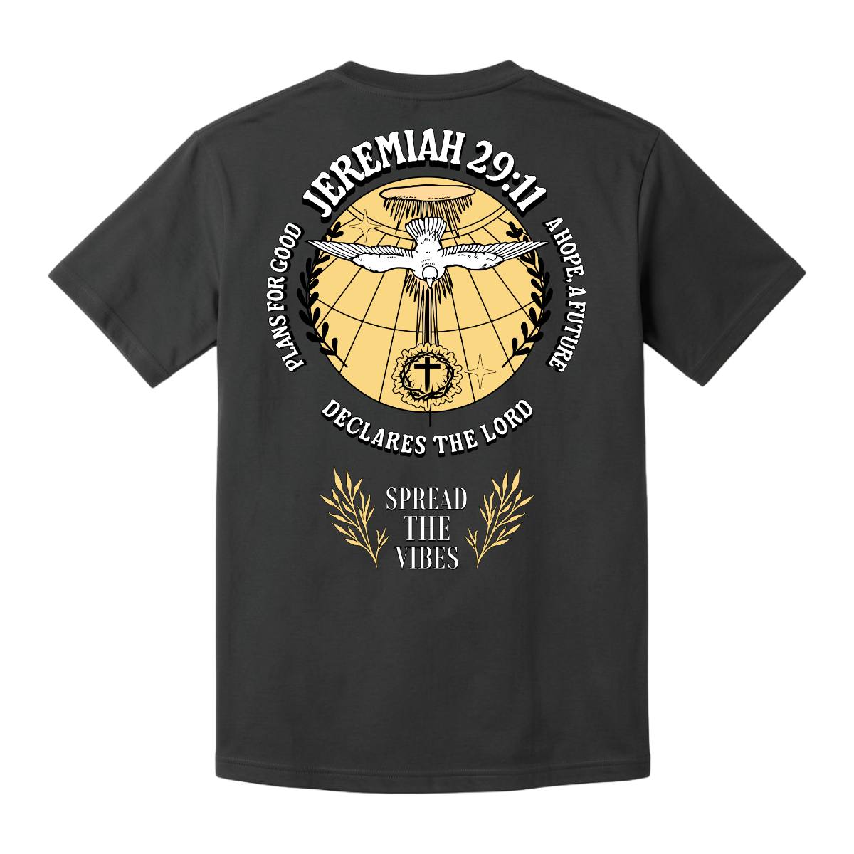 JEREMIAH 29:11 Comfort T